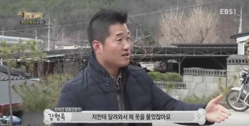 관리 못하겠으면 키우지도 마라 | 인스티즈