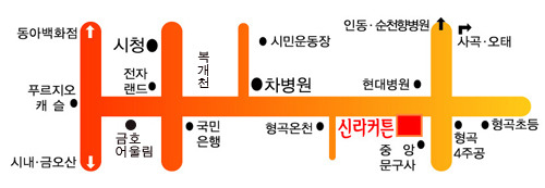 신라커튼 이미지