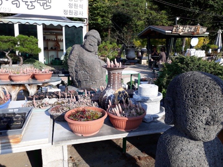 파란마음 이미지