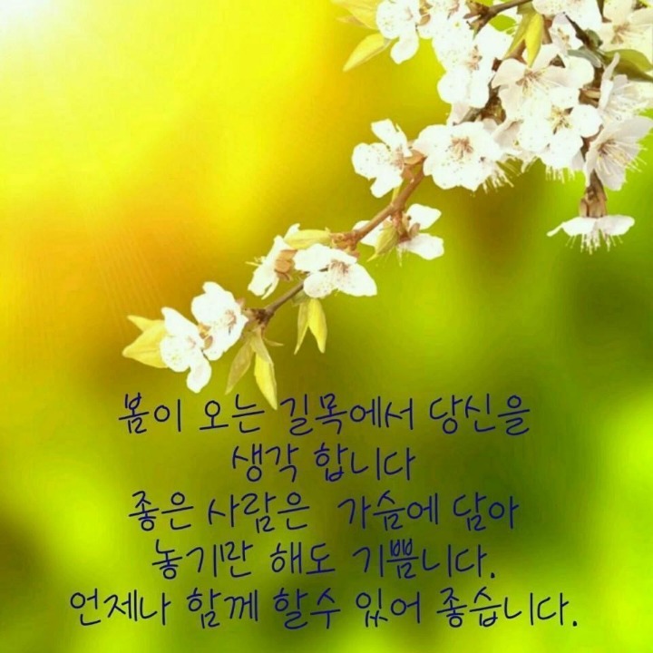 하모니카케어 이미지