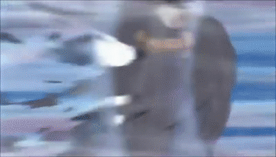 나루토 나선수리검 앞에서 평등하다고 하는 이유 | 인스티즈