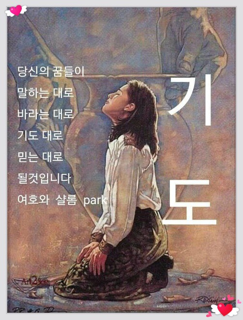 (주)샬롬 이미지
