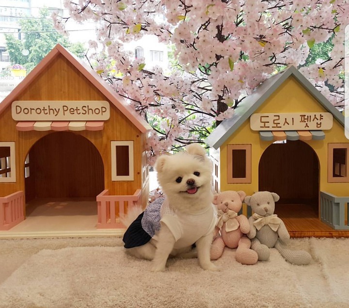 저녁 도시락이 잘 팔리는 이유 | 인스티즈