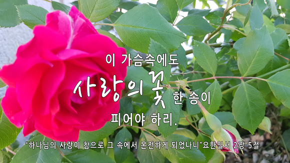 하리 이미지