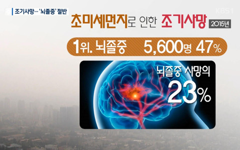 초미세먼지로 인한 조기사망 | 인스티즈