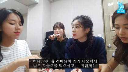 아이유 덕후 트와이스 .gif | 인스티즈
