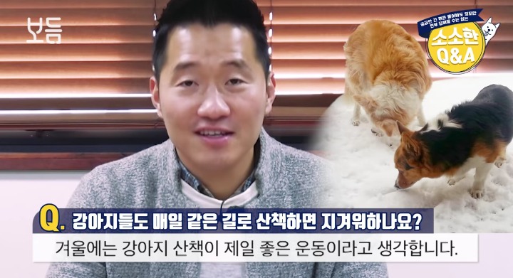 [강형욱의소소한Q&amp;A] 강아지도 매일 같은 길로 산책하면 지겨워 하나요? | 인스티즈