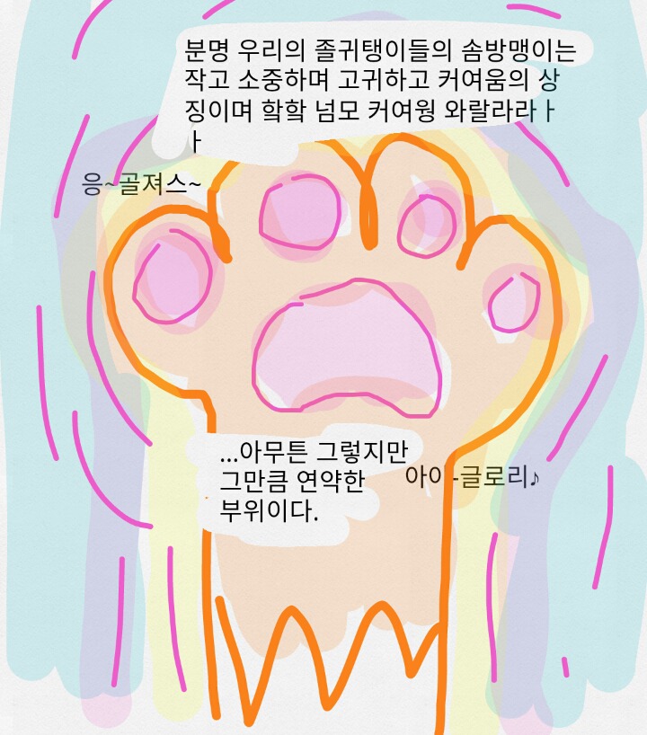 보노보노가 알려주는 댕댕이를 안아주는 방법 | 인스티즈