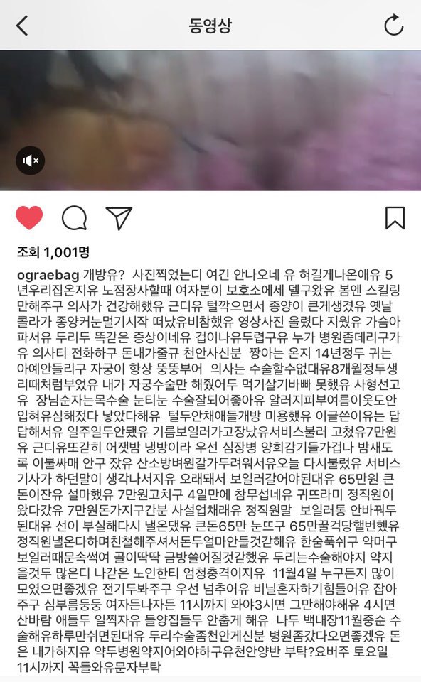 여러분덕에 아픈애들고치구 배블리 먹을수 있구유 장맛비에 비줄줄 올핸 비두 안맞구 여러분 잊지않겠유 | 인스티즈