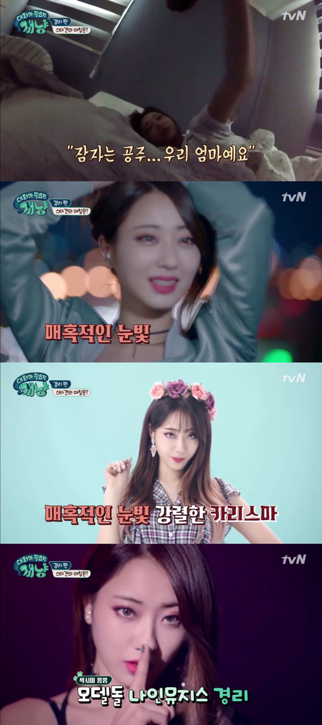 [대화가필요한개냥] 나인뮤지스 경리와 사랑스러운 반려견 시로.jpg | 인스티즈