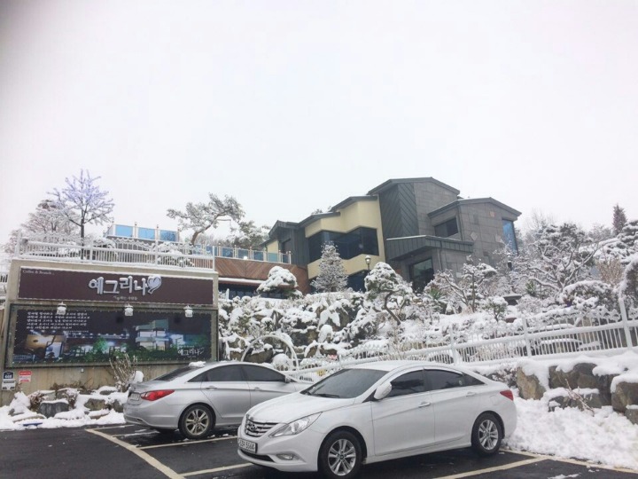 예그리나카페 이미지