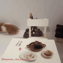 햄스터에게 스테이크와 와인을 줬다.gif | 인스티즈