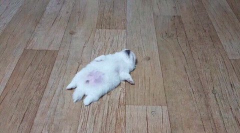 고구마 시즌.jpg | 인스티즈