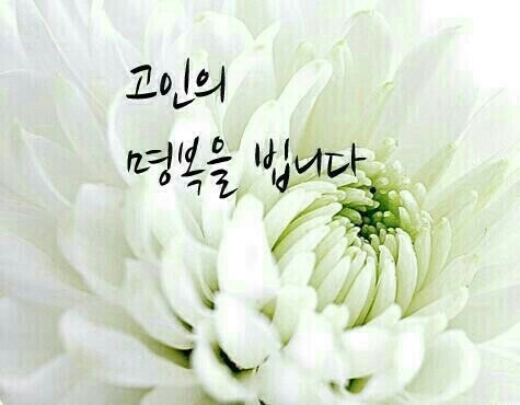 희나리 이미지