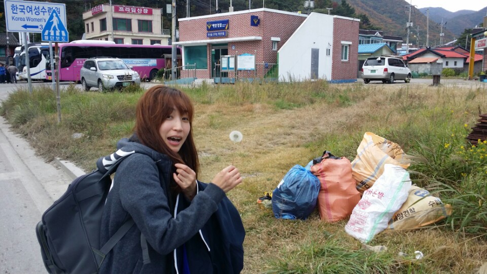 고고고리조트 이미지