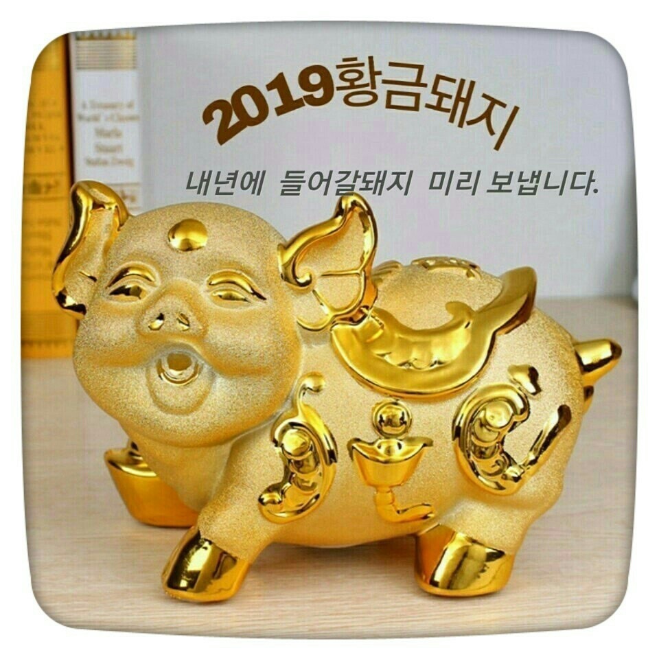 황금 이미지