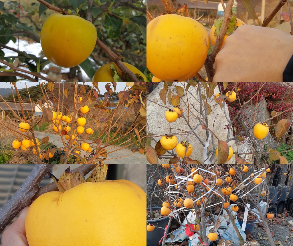 (주)아주농장 이미지