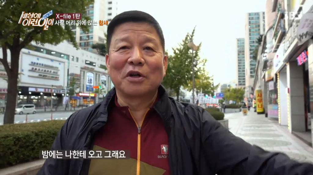[세상에이런일이] 엄청 충격적이였던 오늘편 사람을 좋아하는 참새 새순이 이야기.jpg | 인스티즈