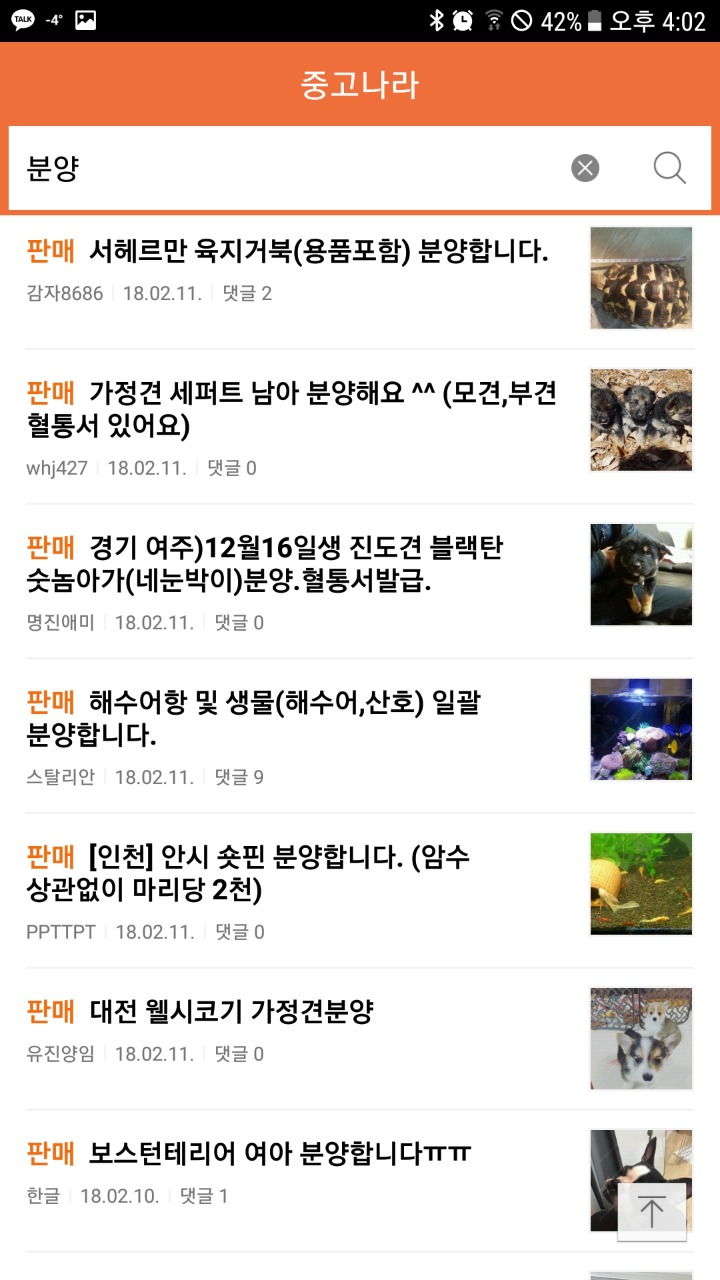 네이버 카페 중고나라에서 파는 강아지들 | 인스티즈