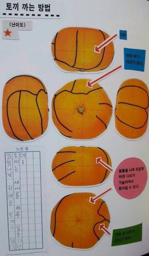 딸에게 귤까기 책을 사줌.jpg | 인스티즈