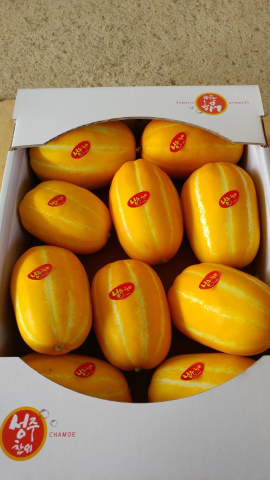 성주 이미지