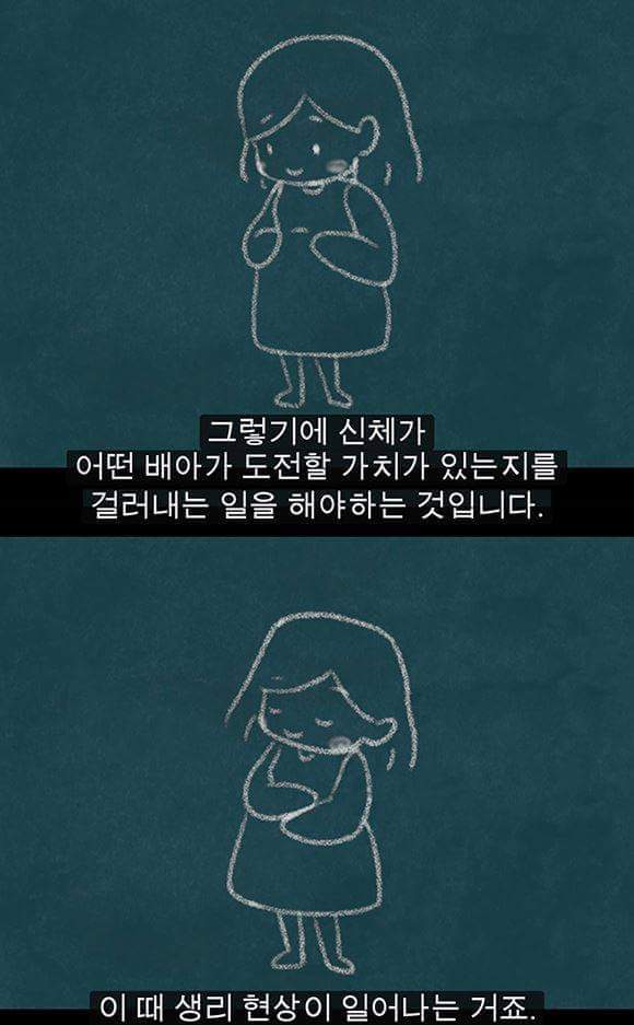 생리를 자궁이 임신을 기다리다가 임신을 하지 못해 실패한 것이라고 배우는 건 철저히 가부장적, 남성중심적 사고이다 | 인스티즈