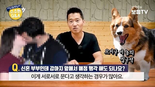 애정행각하려는데 개가 쳐다봐요 | 인스티즈