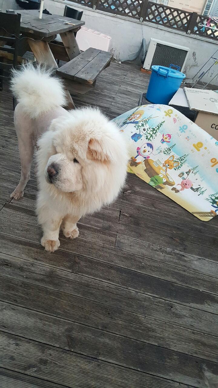 구팔칠이 이미지