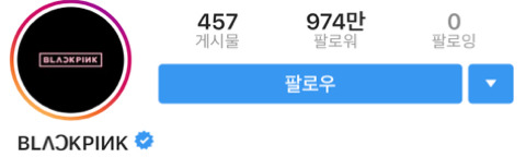 팔로워 순위로 알아보는 블랙핑크 인기 순위 | 인스티즈