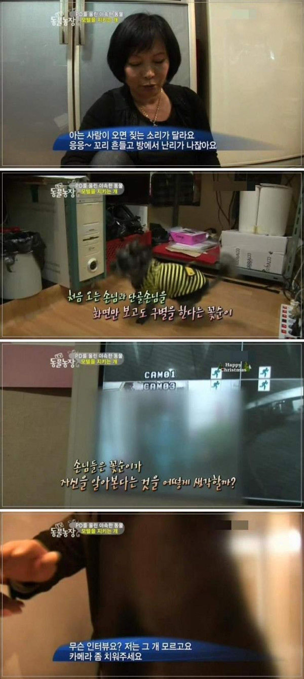 모텔을 지키는 개 | 인스티즈
