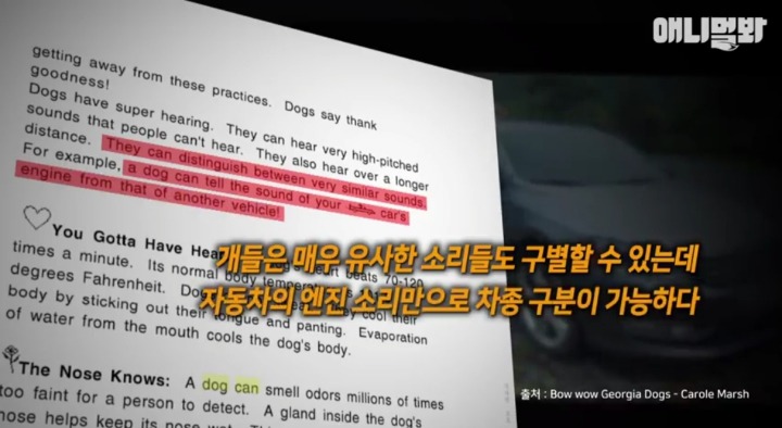 키워키우라고 vs 절대 안키울거라는 아저씨 | 인스티즈