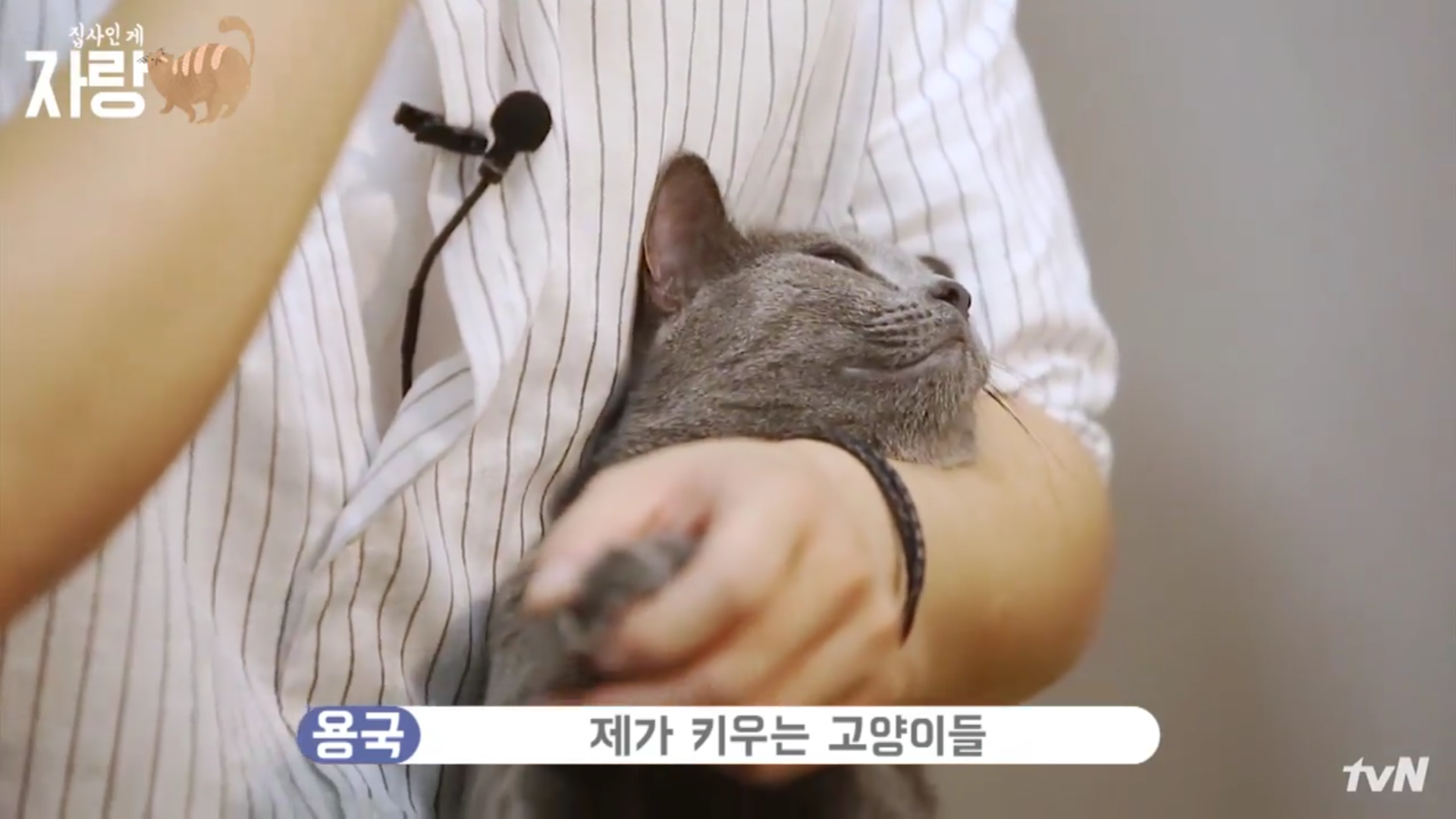 프로게이머한데 게임을 하냐고 묻는 아이돌.jpg | 인스티즈