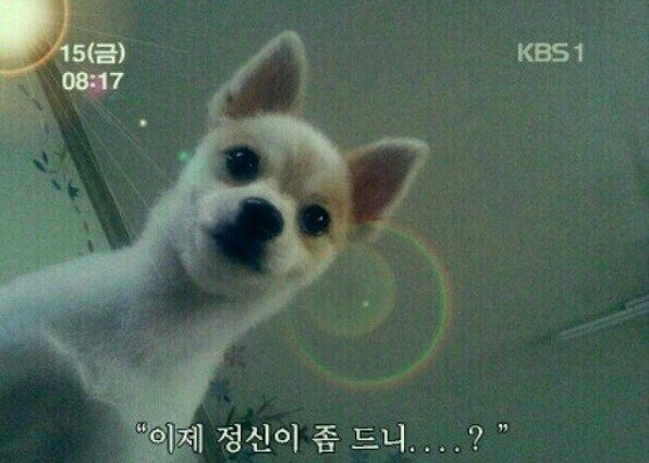 없음 이미지
