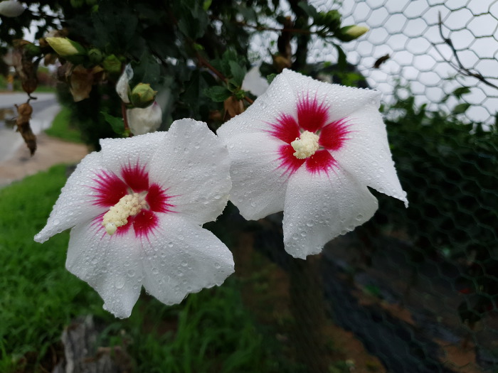 99F91C3C5D47A2E42848B0