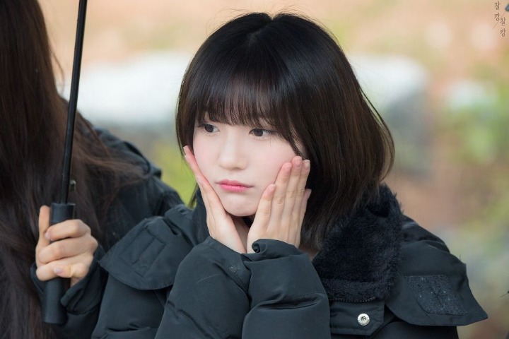 데이비니 이미지