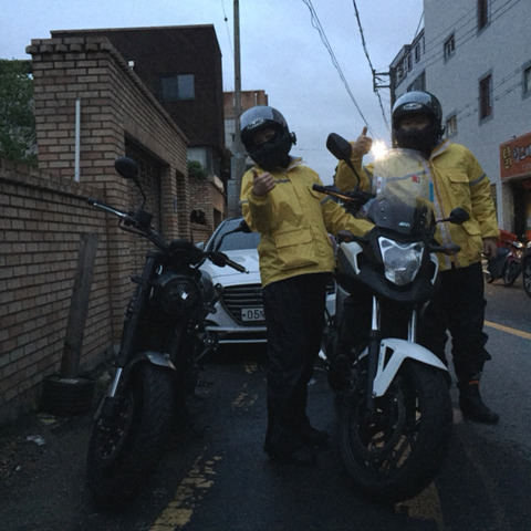 지야 이미지